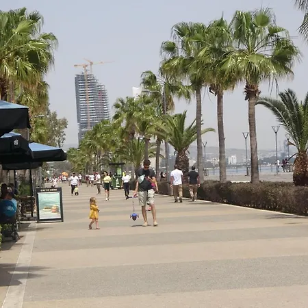 Antonakis 501 Limisso