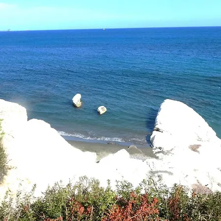 Antonakis 501 Limisso