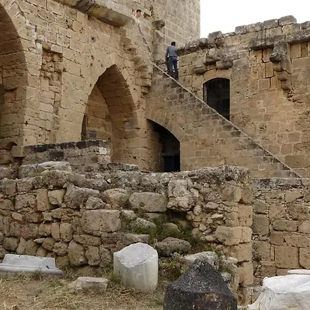 Antonakis 501 Limisso