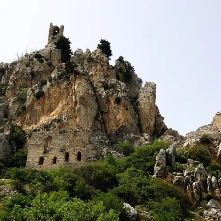 Antonakis 501 레메소스