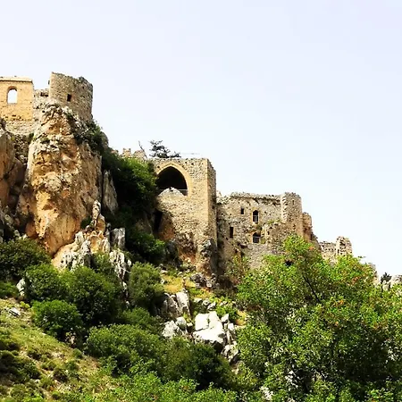 Antonakis 501 레메소스