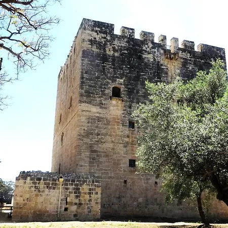 아파트 Antonakis 501 레메소스