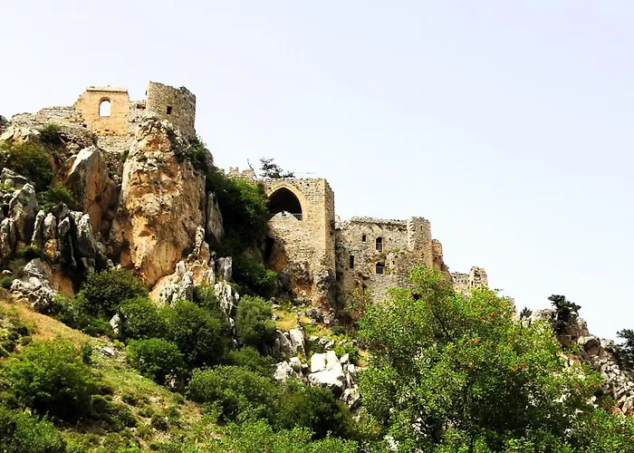 Antonakis 501 Λεμεσός