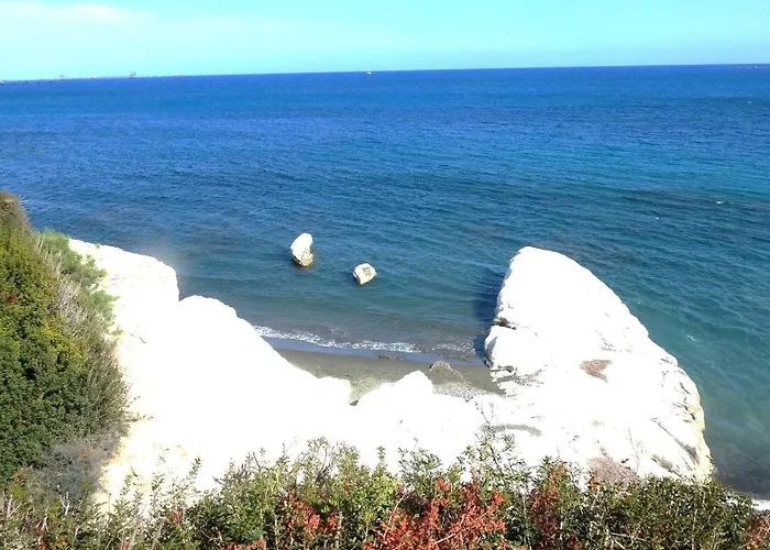 Antonakis 501 Λεμεσός